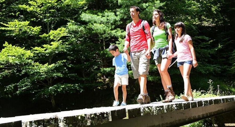 Actividades para festejar el día del niño: realiza una excursión sorpresa