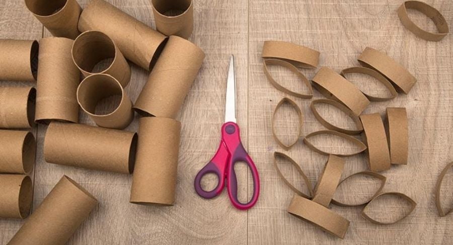Tubos de papel higiénico.