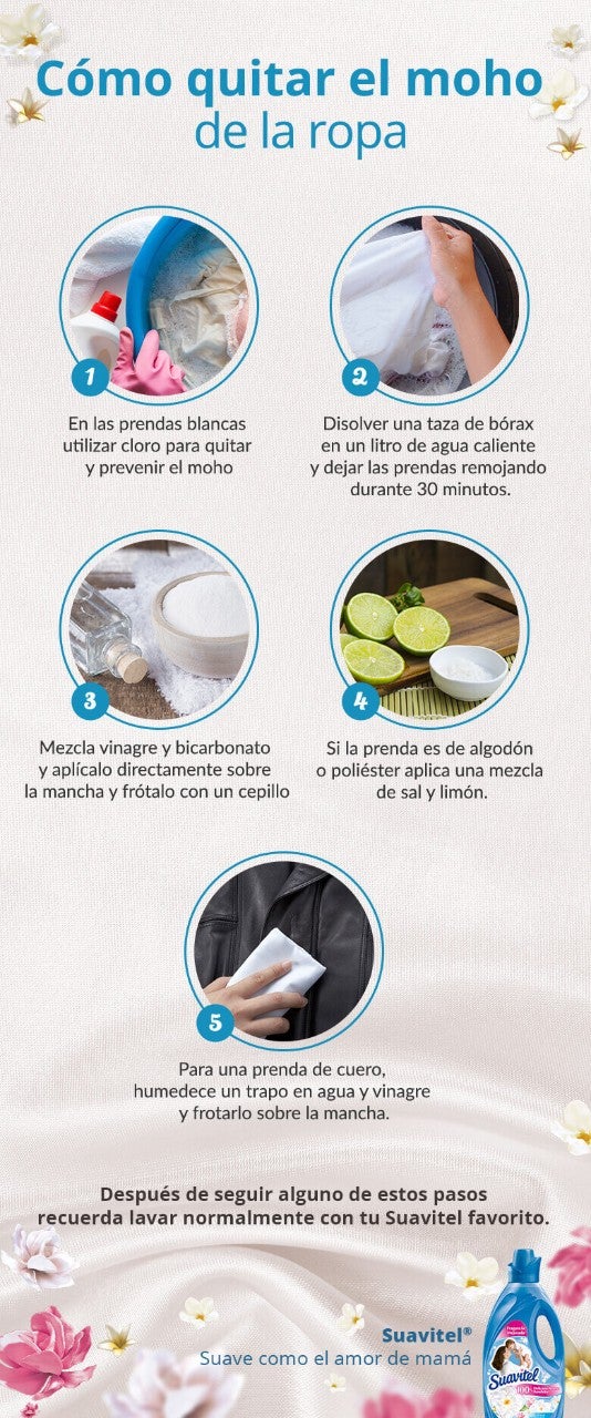 Cómo quitar el moho de la ropa