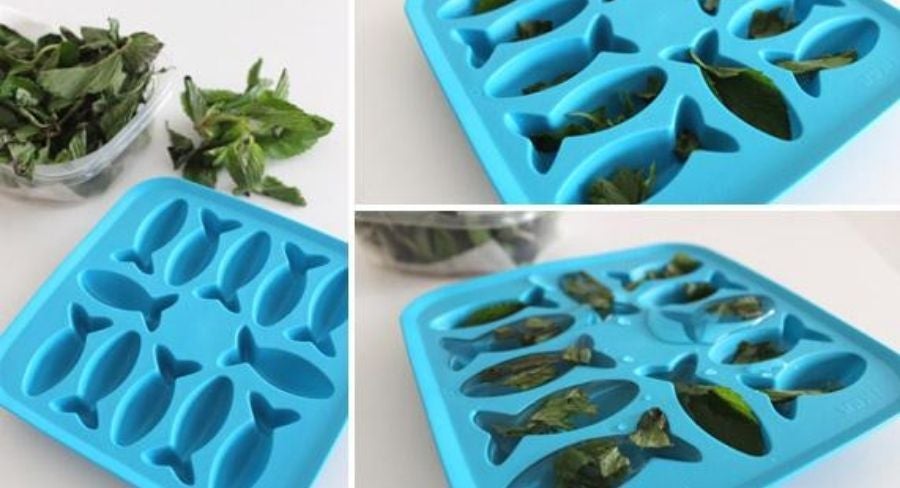 Agua de sabores en casa