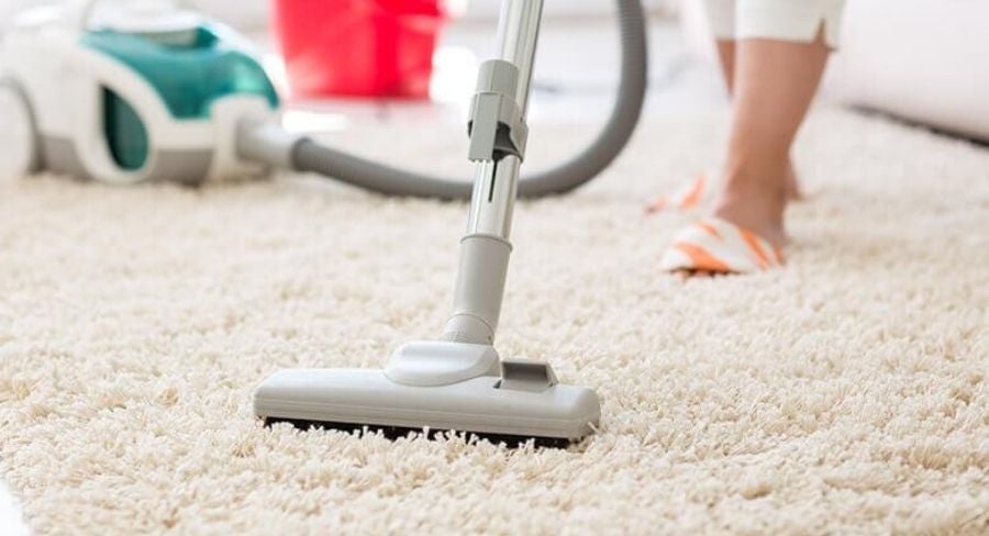 Cómo limpiar una casa con mascotas y quitar el mal de orín