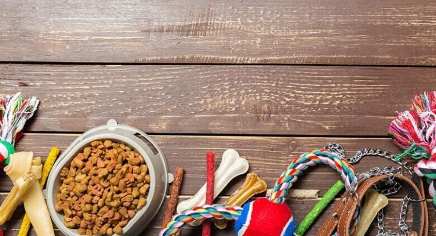 Cómo limpiar una casa con mascotas y quitar el mal de orín