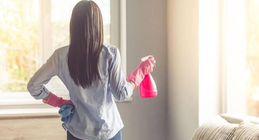 Cómo limpiar una casa con mascotas y quitar el mal de orín