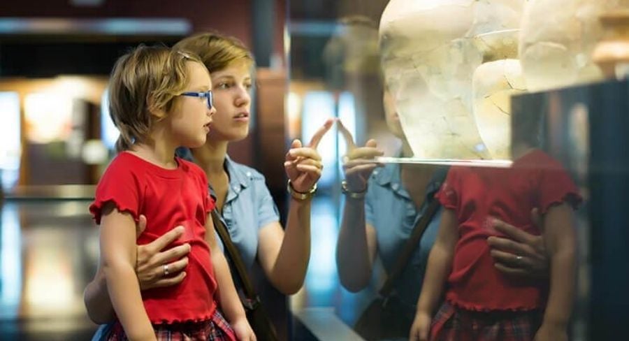 Actividades para festejar el día del niño: visita museos