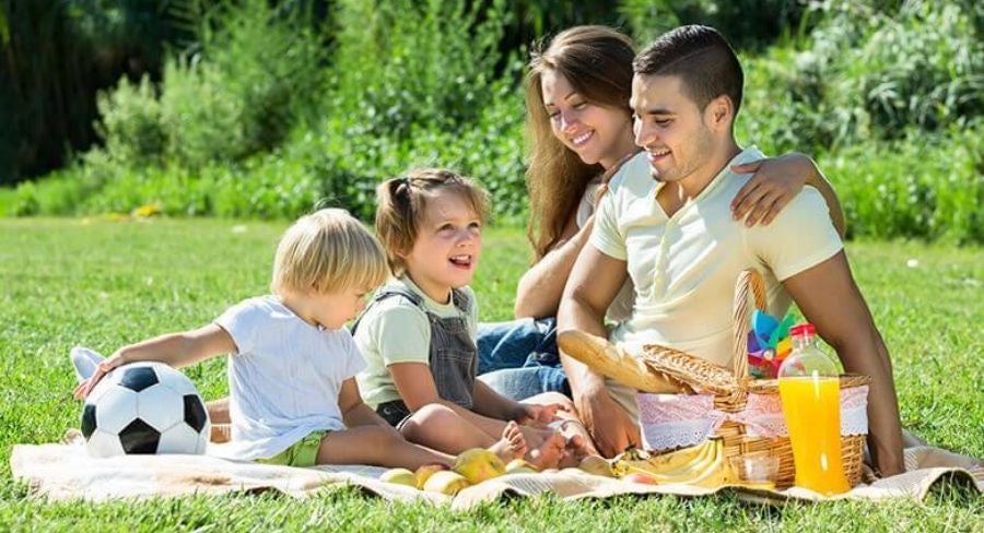 Actividades para festejar el día del niño: organiza un picnic